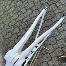 Load image into Gallery viewer, Colnago C64