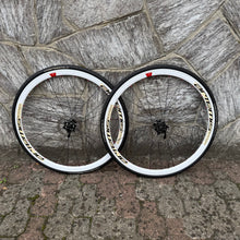 Load image into Gallery viewer, Colnago C59 Team Edition Disc