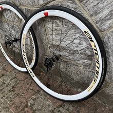 Load image into Gallery viewer, Colnago C59 Team Edition Disc