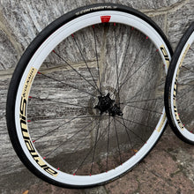 Load image into Gallery viewer, Colnago C59 Team Edition Disc