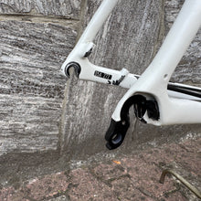 Load image into Gallery viewer, Colnago C59 Team Edition Disc