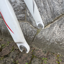 Load image into Gallery viewer, Colnago M10