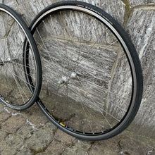 Carica l'immagine nel visualizzatore di Gallery, Ambrosio Excellence - Campagnolo Record hubs