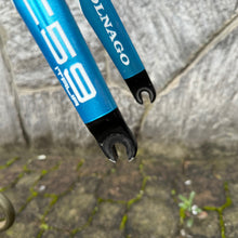 Carica l'immagine nel visualizzatore di Gallery, Colnago C59 Italia