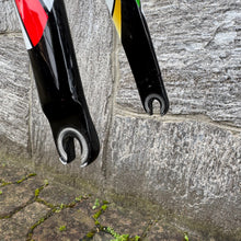 Load image into Gallery viewer, Colnago EPS