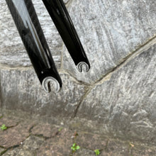 Load image into Gallery viewer, Colnago Extreme-C