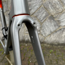 Load image into Gallery viewer, De Rosa Protos