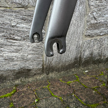 Load image into Gallery viewer, De Rosa Protos