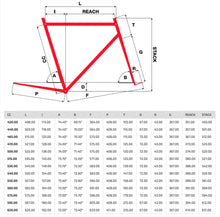 Load image into Gallery viewer, Pinarello Dogma F10