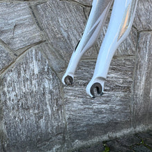 Load image into Gallery viewer, Pinarello Dogma 60.1