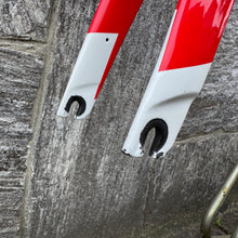 Load image into Gallery viewer, Trek Madone Team Issue RSL
