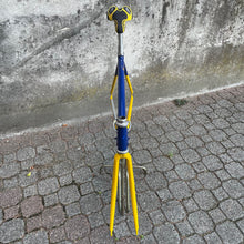 Load image into Gallery viewer, Narcisi by Columbus