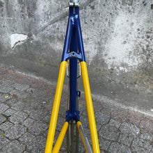 Load image into Gallery viewer, Narcisi by Columbus