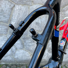 Load image into Gallery viewer, Trek Elite 9.8 OCLV