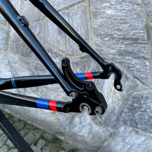Load image into Gallery viewer, Trek Elite 9.8 OCLV