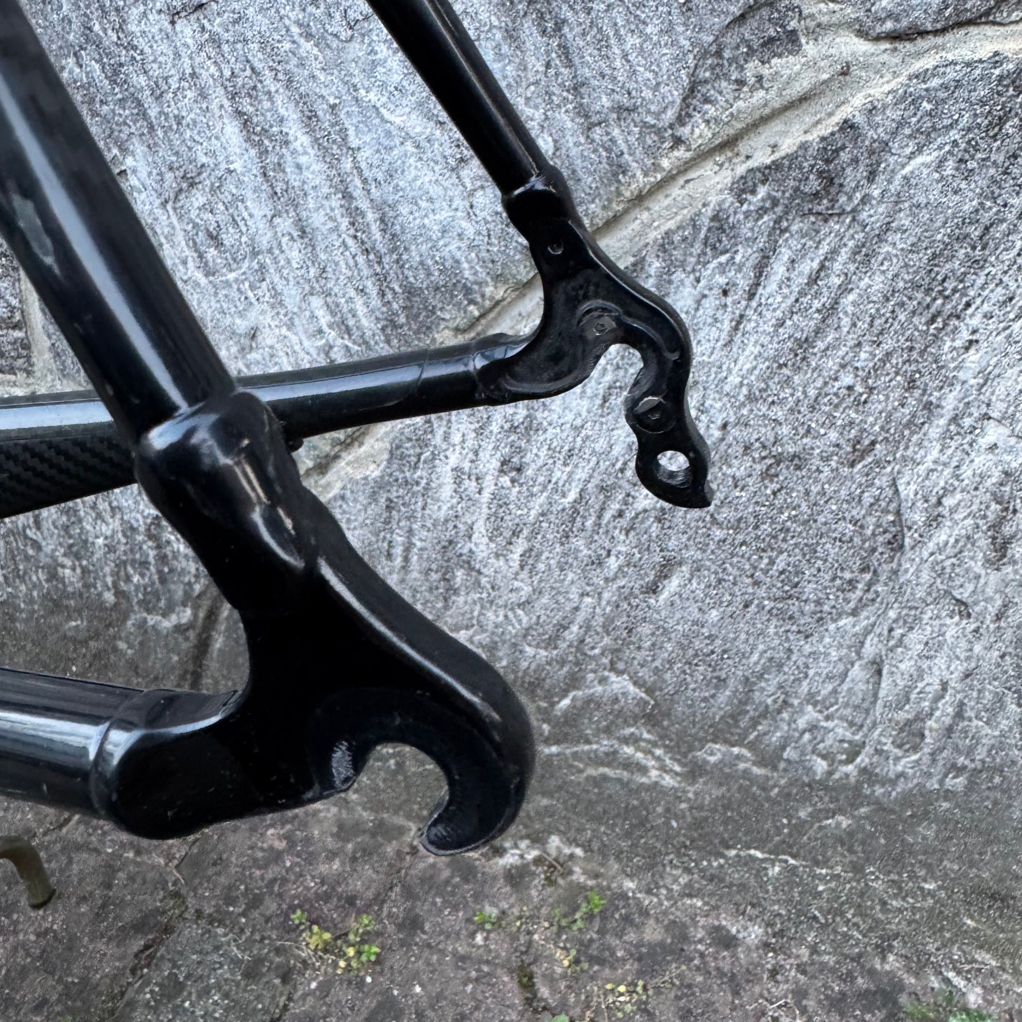 Colnago EPS – Bike Square | Premium Cycling Components