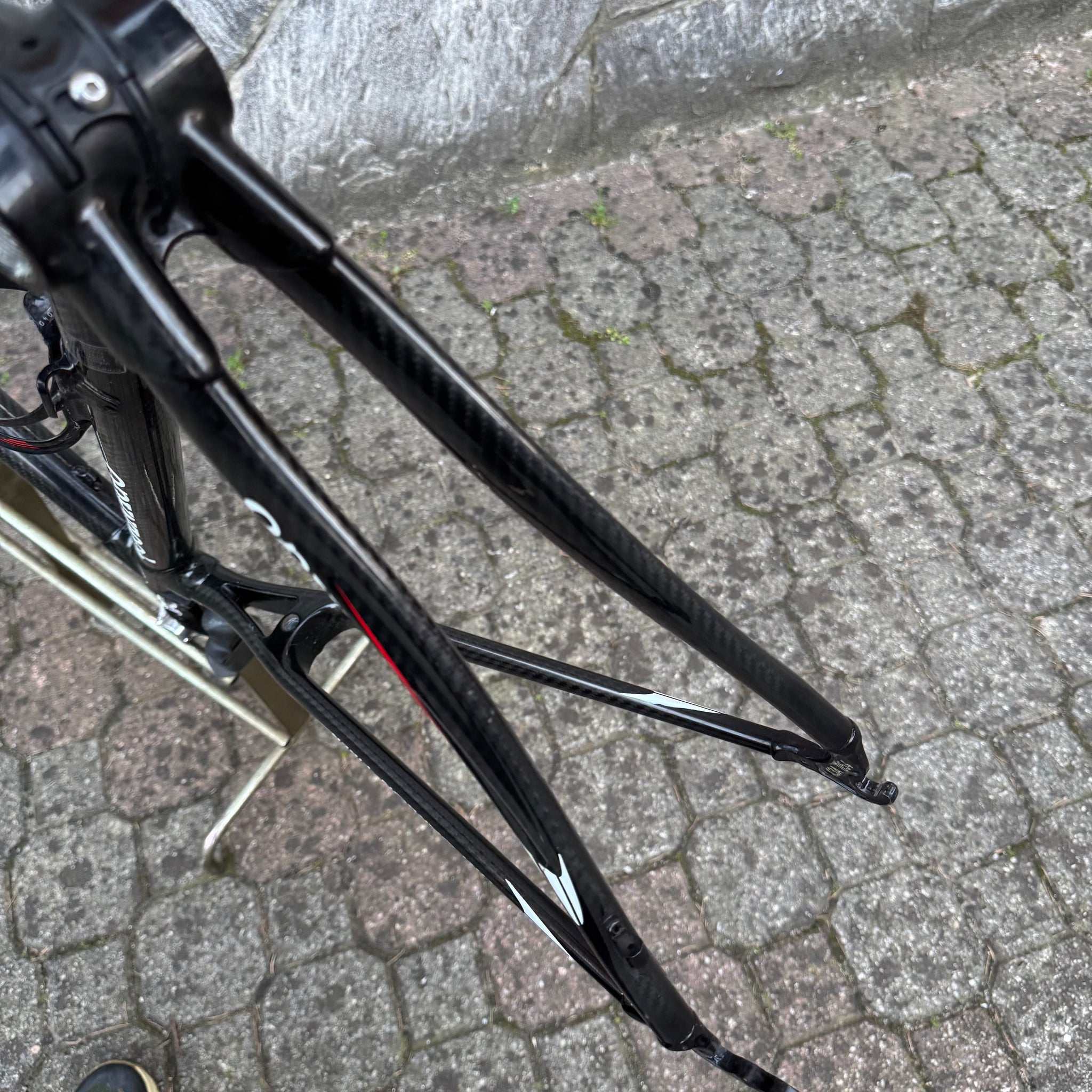 Colnago EPS – Bike Square | Premium Cycling Components
