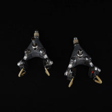 Carica l'immagine nel visualizzatore di Gallery, Campagnolo Nuovo Record Panto Colnago - Delta brakes
