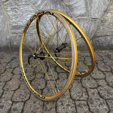 Load image into Gallery viewer, Campagnolo Shamal Ultra Oro
