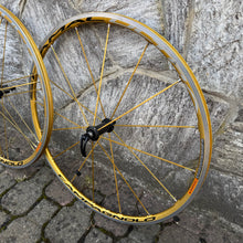 Load image into Gallery viewer, Campagnolo Shamal Ultra Oro
