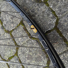 Load image into Gallery viewer, Ambrosio Excellence TQB - Campagnolo Record hubs
