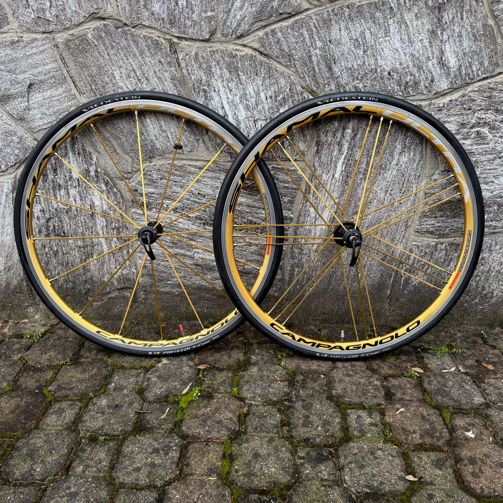 Campagnolo Shamal Ultra Oro – Bike Square | Premium Cycling