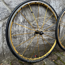 Load image into Gallery viewer, Campagnolo Shamal Ultra Oro
