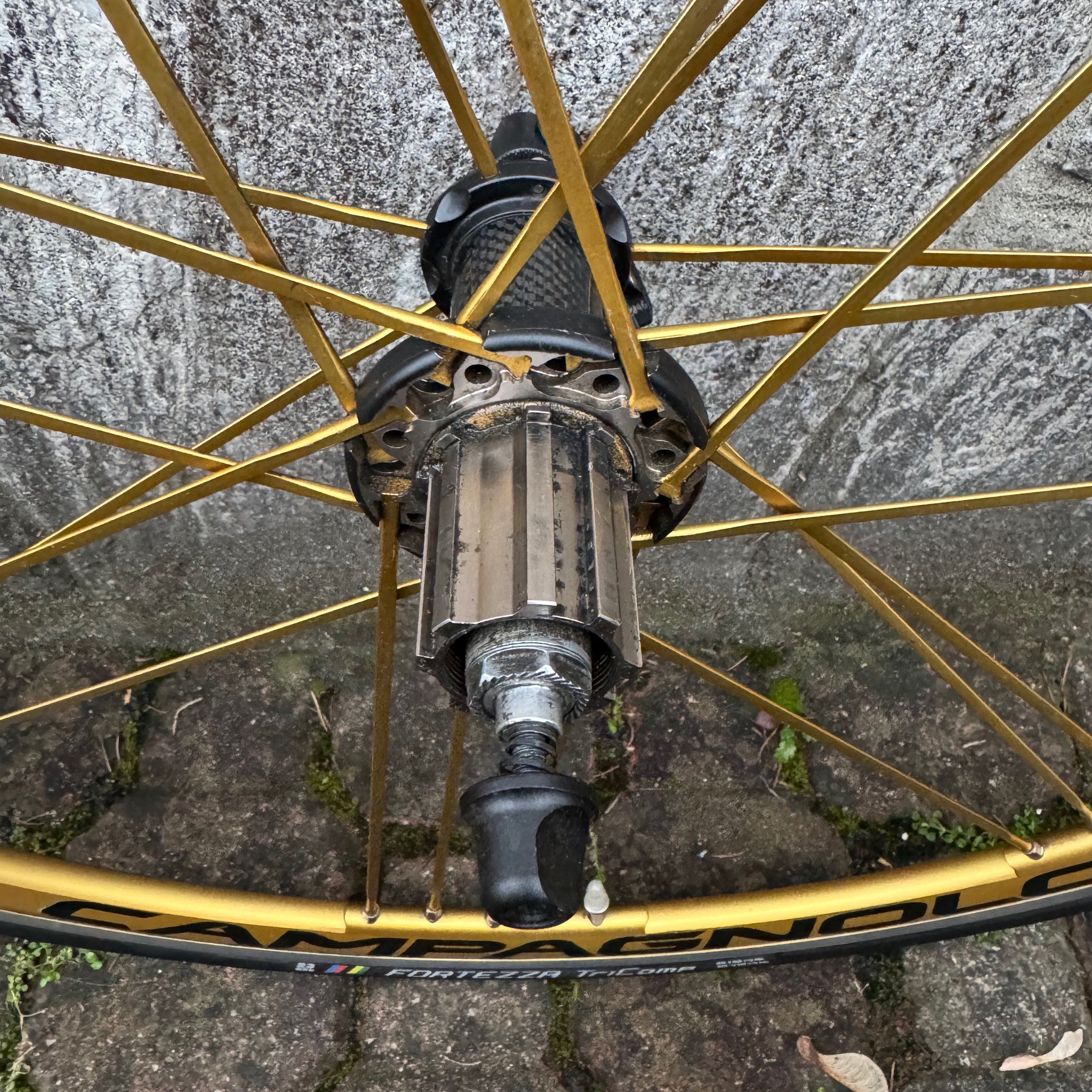 Campagnolo Shamal Ultra Oro – Bike Square | Premium Cycling