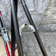 Load image into Gallery viewer, Colnago Carbitubo
