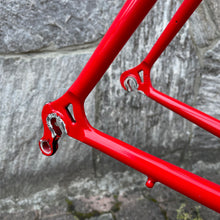 Carica l&#39;immagine nel visualizzatore di Gallery, De Rosa Endurace
