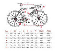 Load image into Gallery viewer, Wilier Triestina Cento1SR
