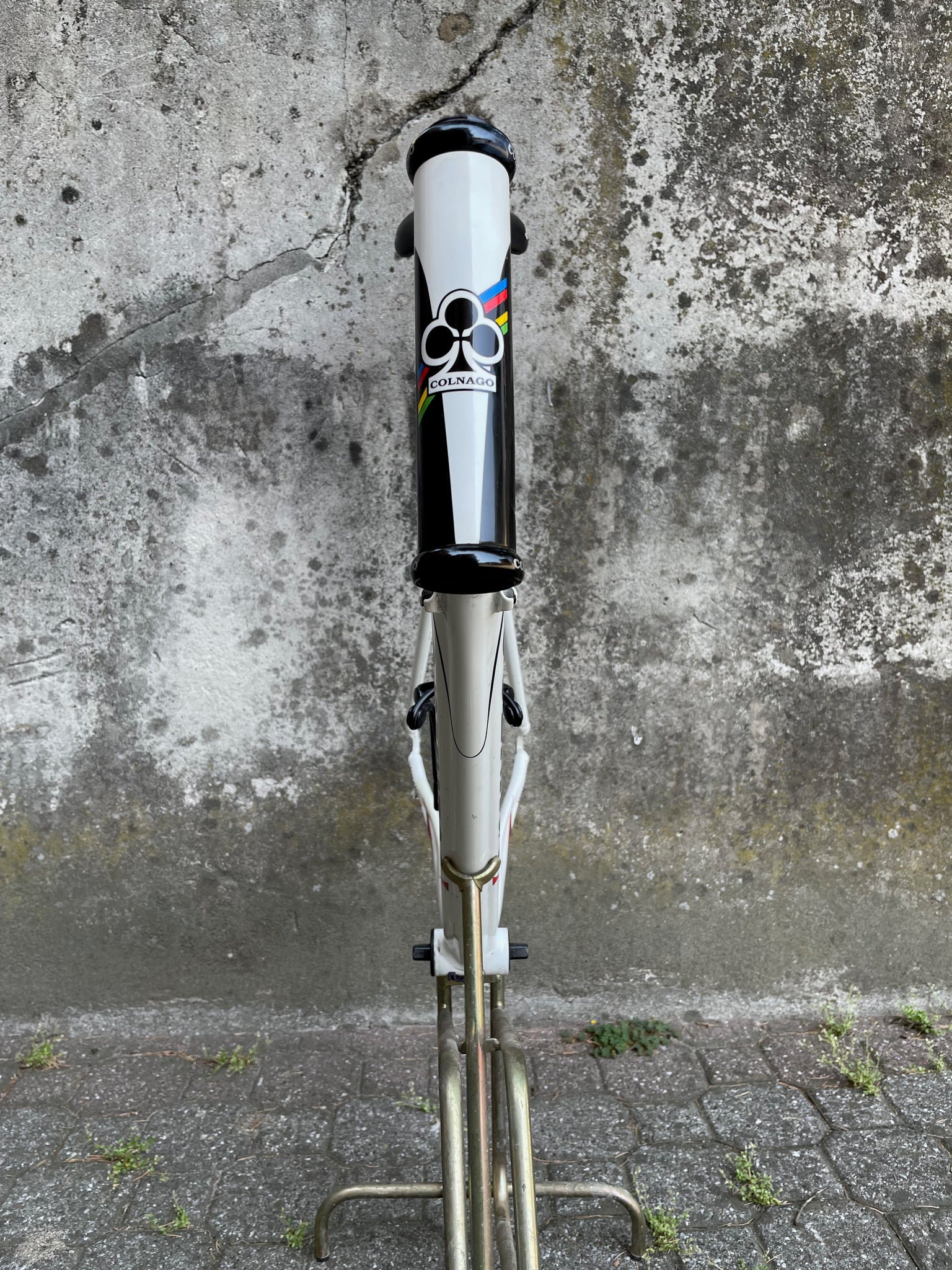 Colnago Primavera – Bike Square | Premium Cycling Components